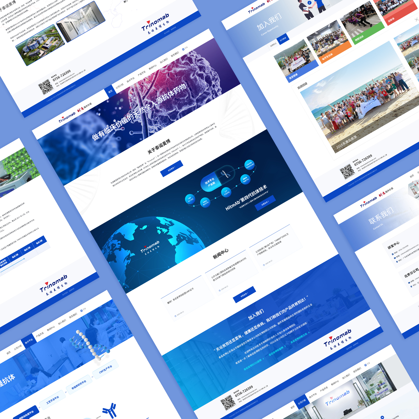 泰諾麥博網站案例展示